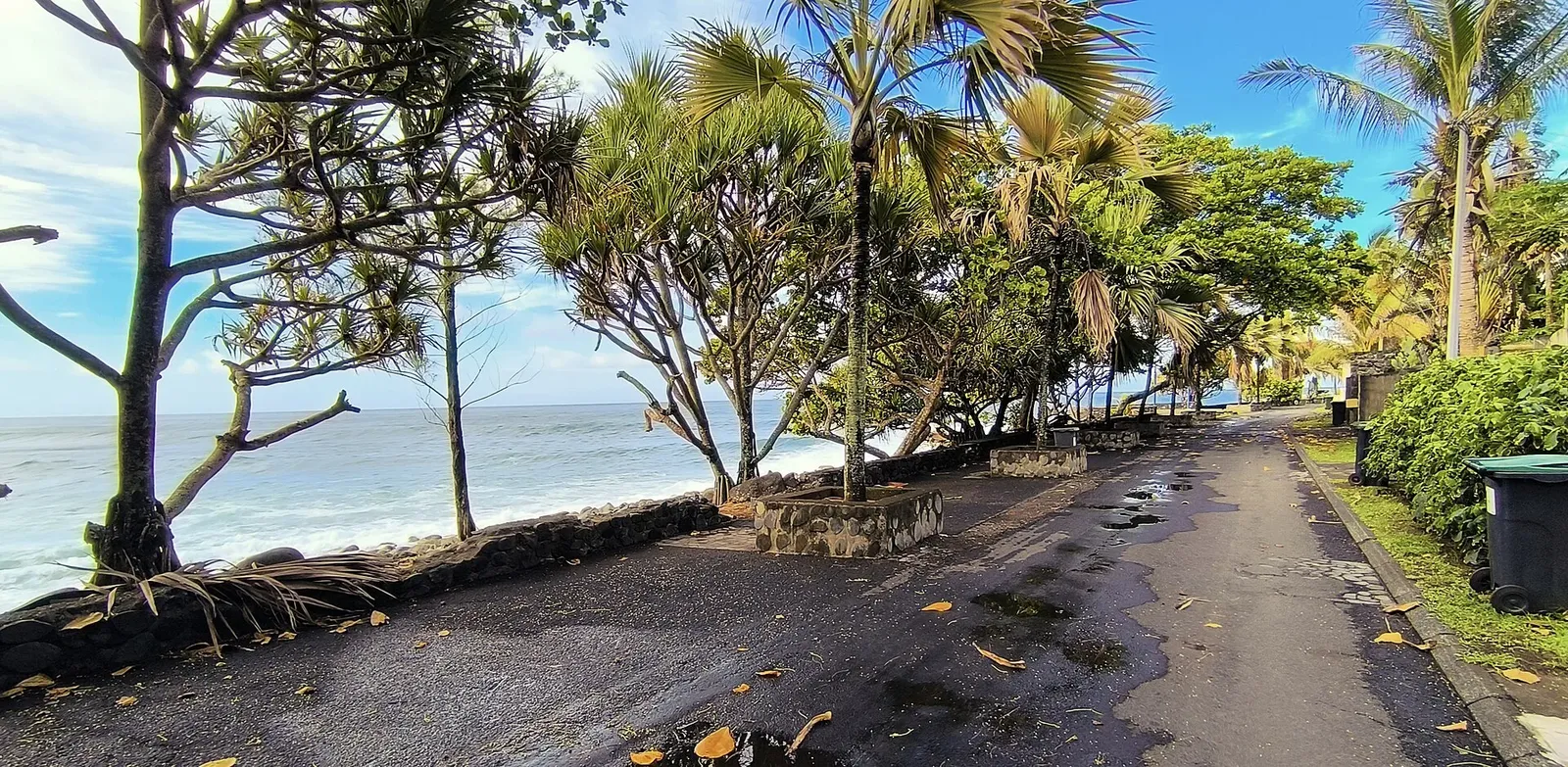 Route littorale bordée de pandanus et de palmiers, avec l'océan Indien qui déferle sur la côte à Manapany-les-Bains