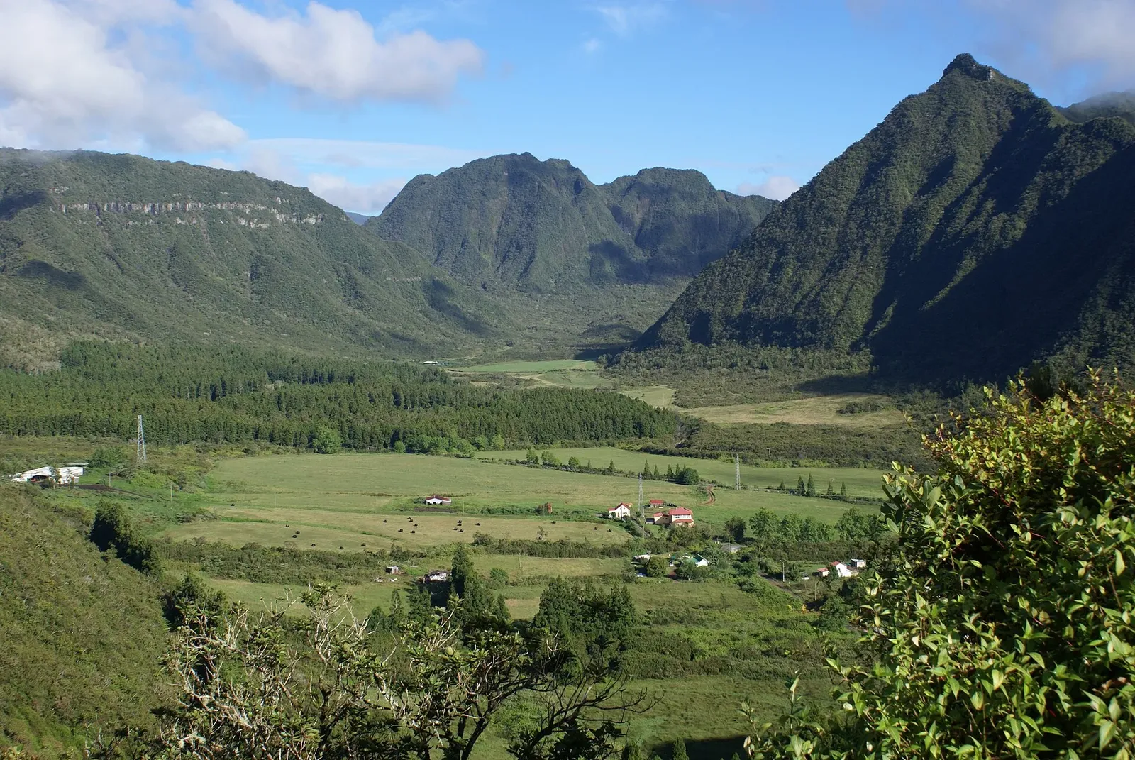 Vue plongeante sur une vallée de prairies et de forêts avec quelques maisons, entourée de montagnes vertes sous un ciel bleu