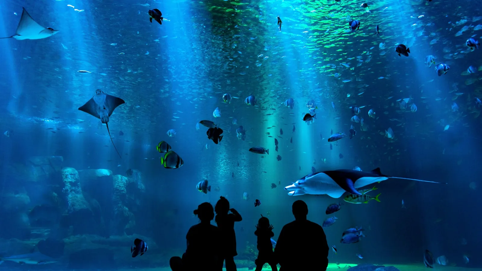 L'Aquarium de La Réunion